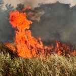 জয়পুরে খড়িবনে আগুন